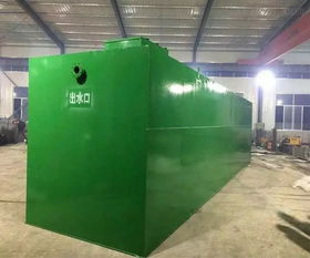 WSZ-0.3型500工廠生活污水處理設備生產廠家報價及智能制造與伺服電機應用解析